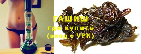 гашик Новозыбков