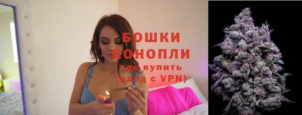 крисы Верея